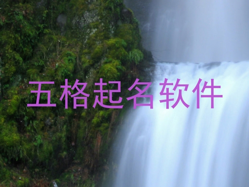 五格起名软件