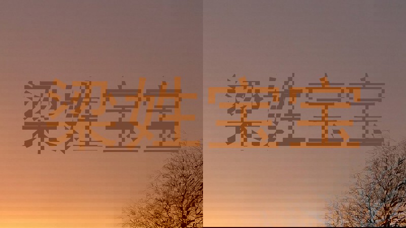 梁姓宝宝