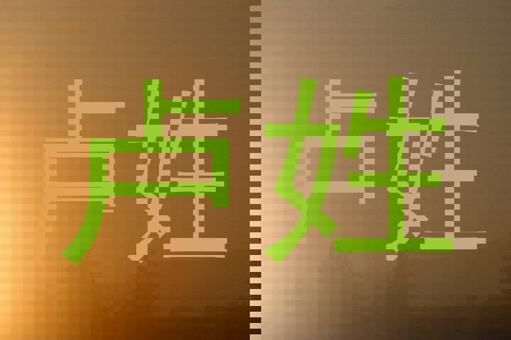 卢姓