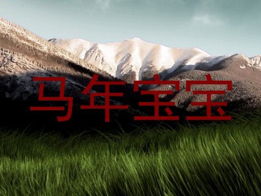 马年宝宝