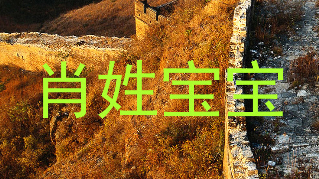 肖姓宝宝