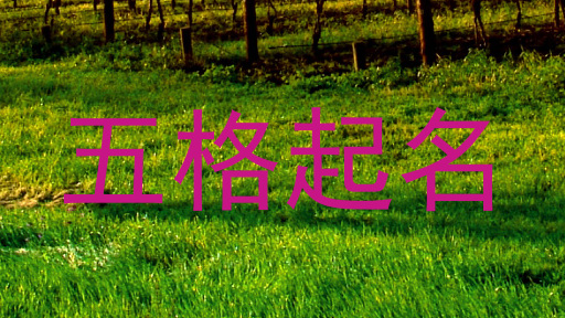 五格起名
