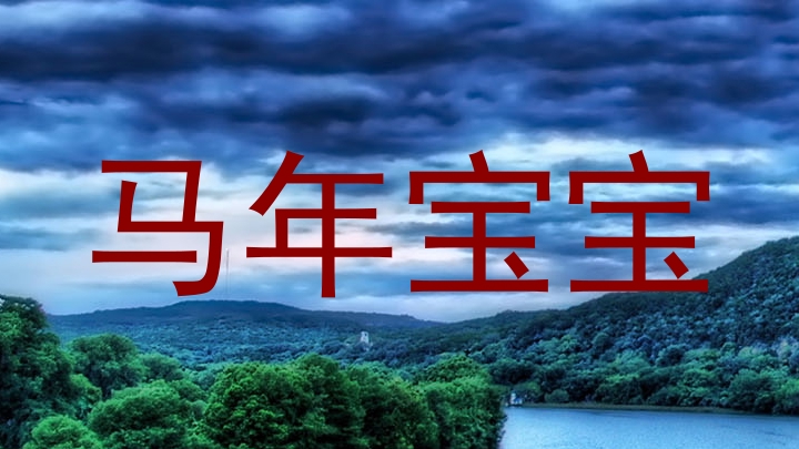 马年宝宝