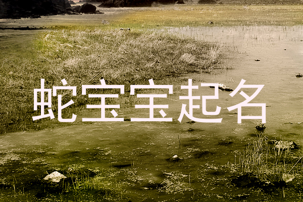 蛇宝宝起名