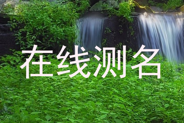 在线测名