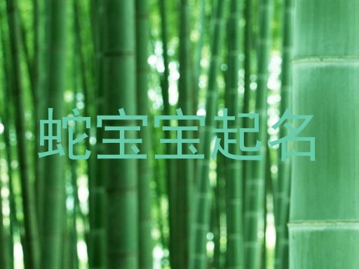 蛇宝宝起名
