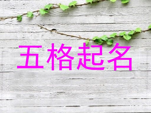 五格起名