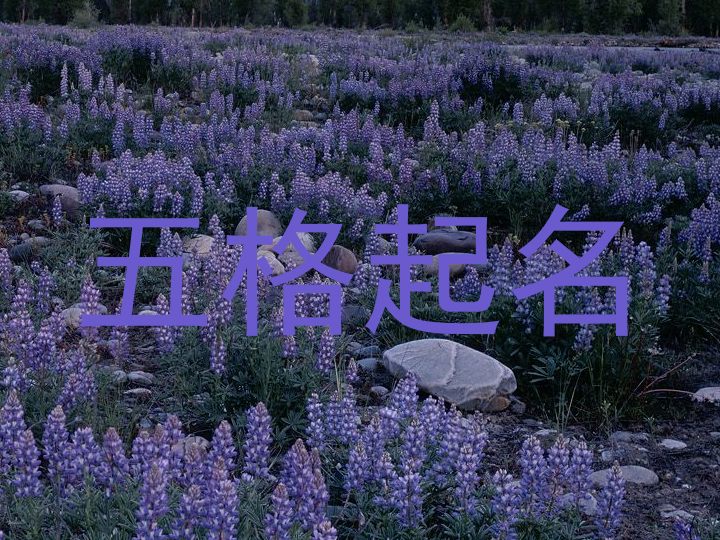 五格起名