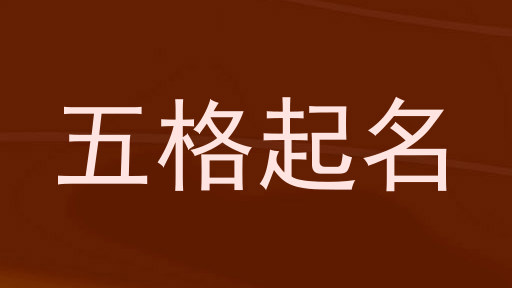 五格起名