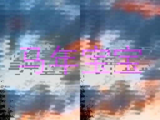 马年宝宝