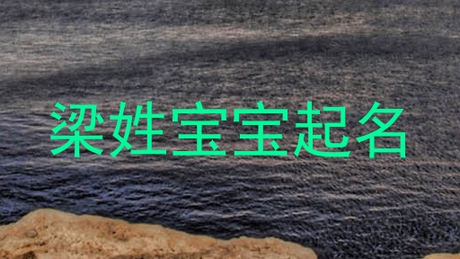 梁姓宝宝起名