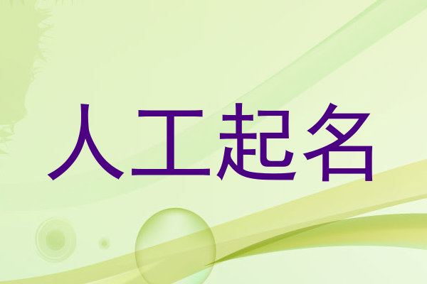 人工起名
