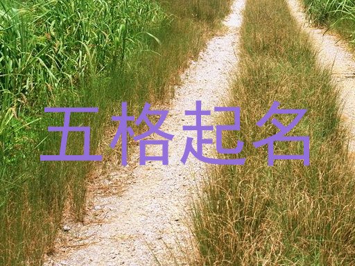 五格起名