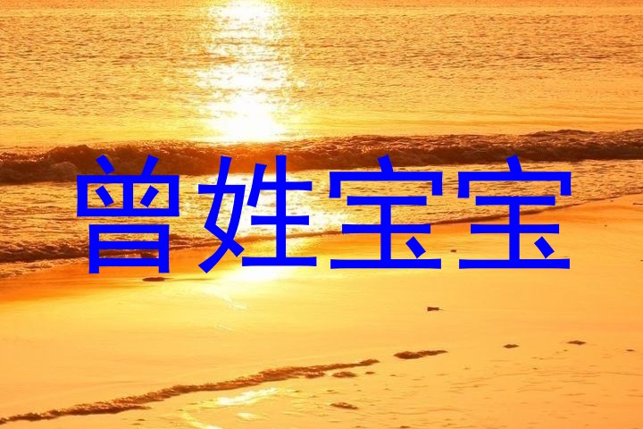 曾姓宝宝
