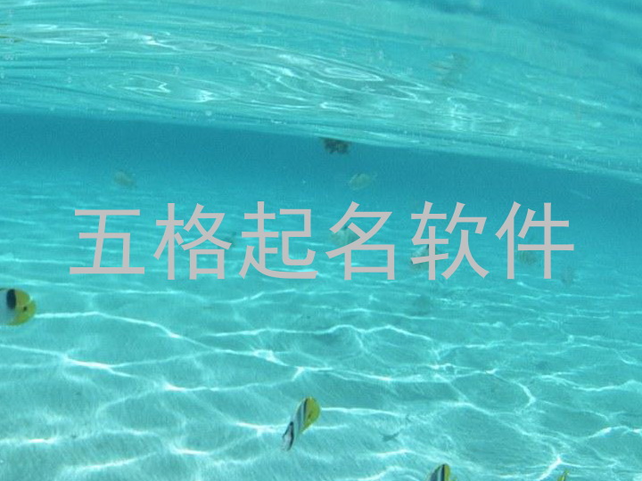 五格起名软件