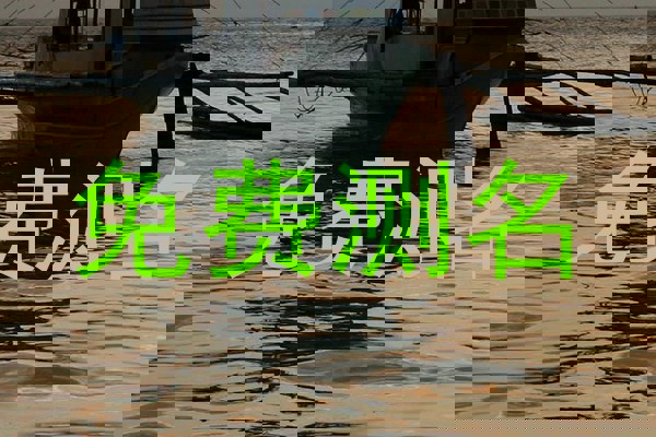 免费测名