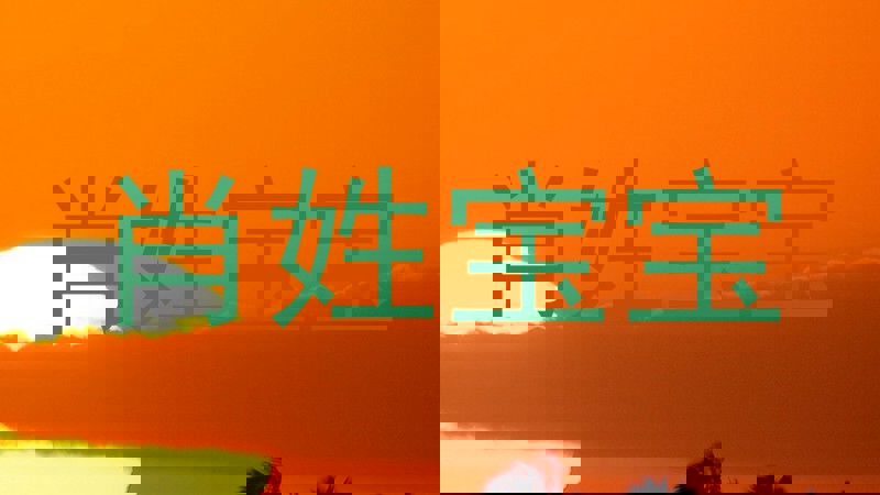 肖姓宝宝