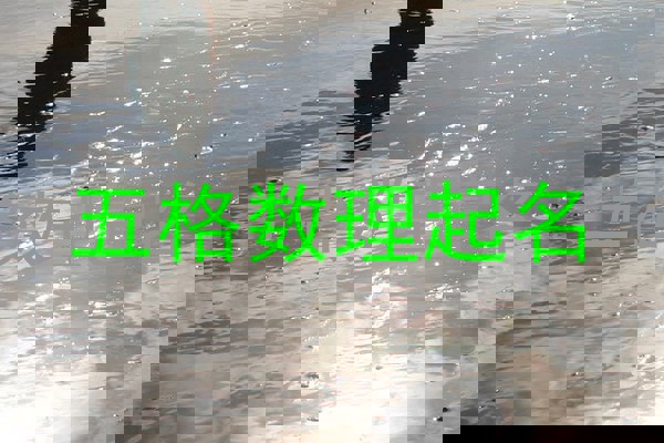 五格数理起名
