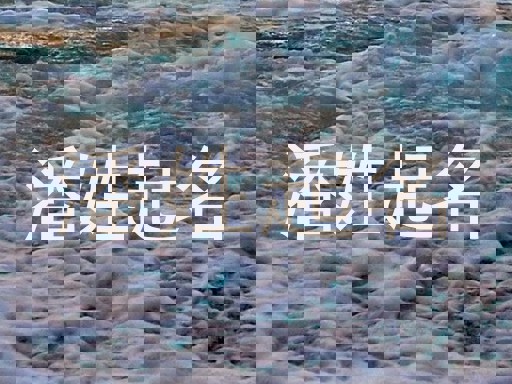 潘姓起名