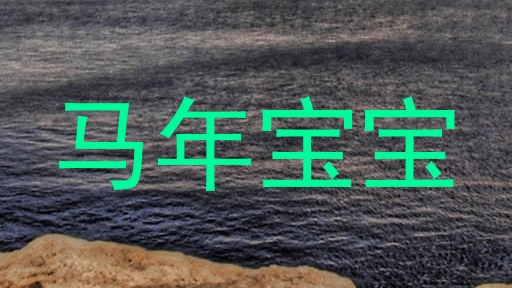 马年宝宝