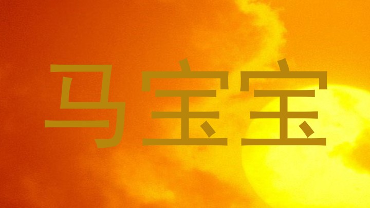 马宝宝
