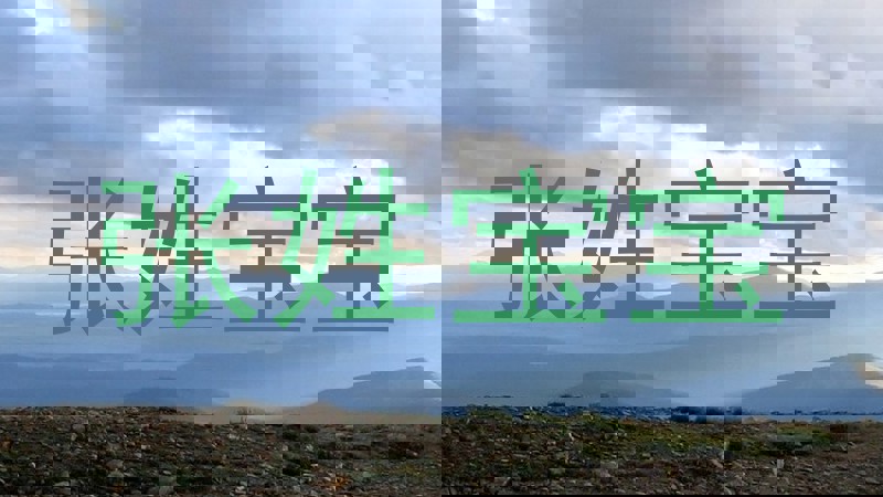 张姓宝宝
