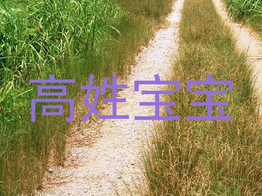 高姓宝宝