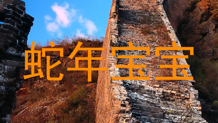 蛇年宝宝