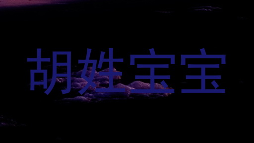 胡姓宝宝