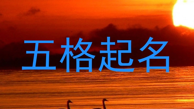 五格起名