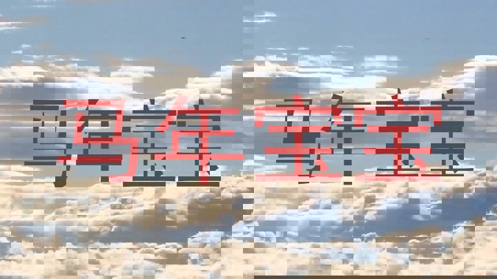 马年宝宝