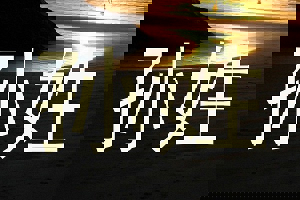 孙姓