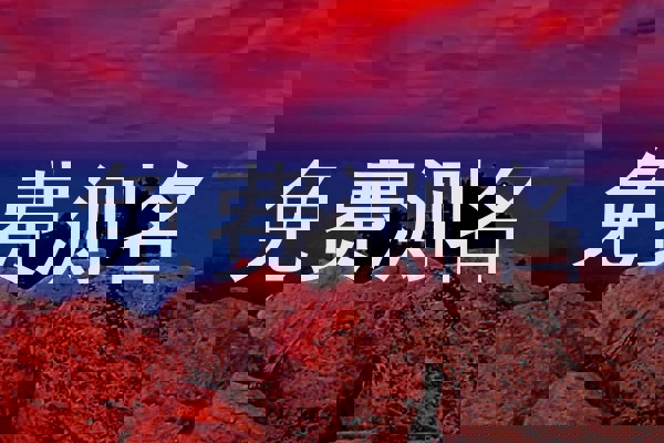 免费测名
