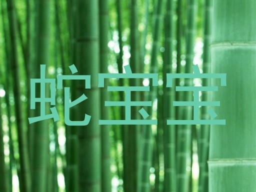 蛇宝宝