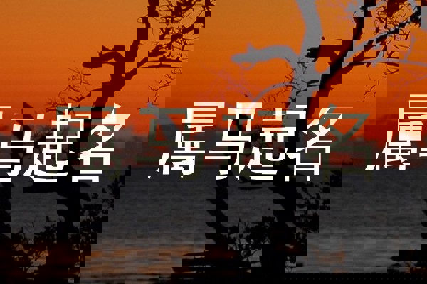 属马起名
