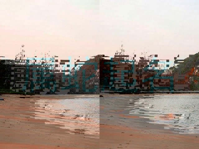 属蛇起名