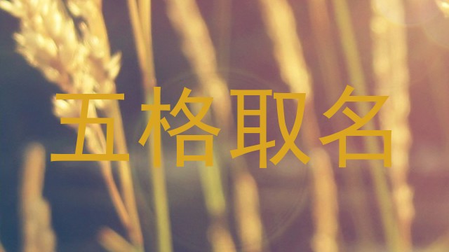 五格取名