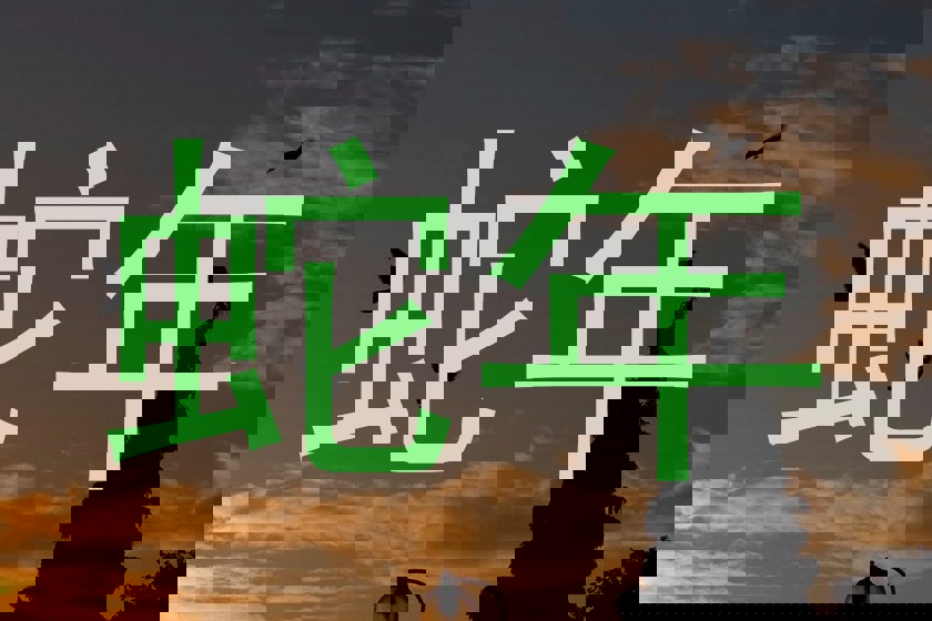 蛇年