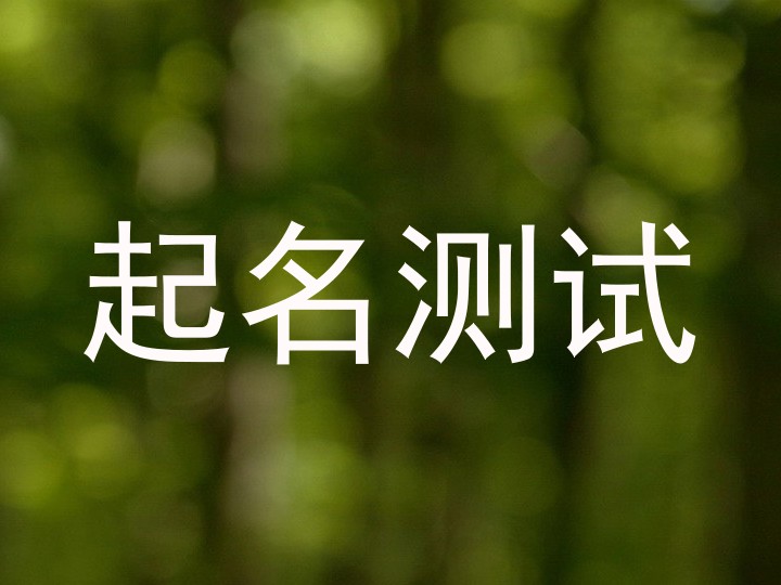 起名测试