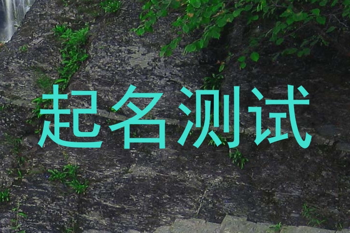 起名测试