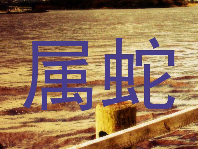 属蛇