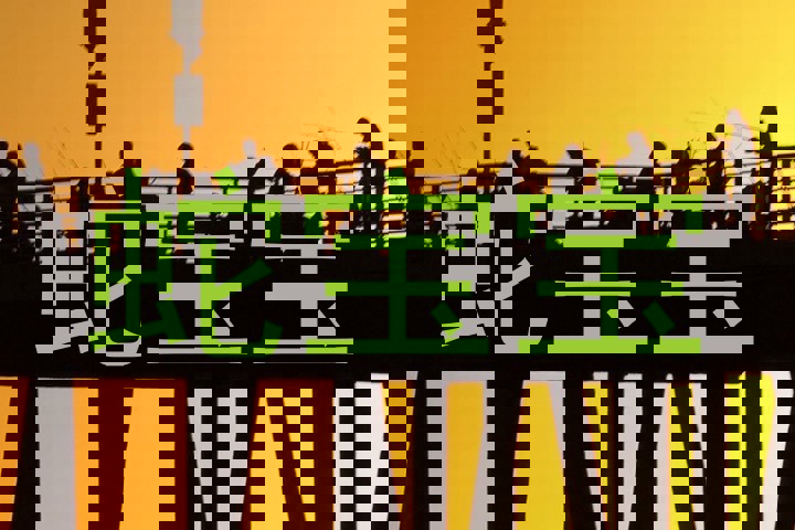 蛇宝宝