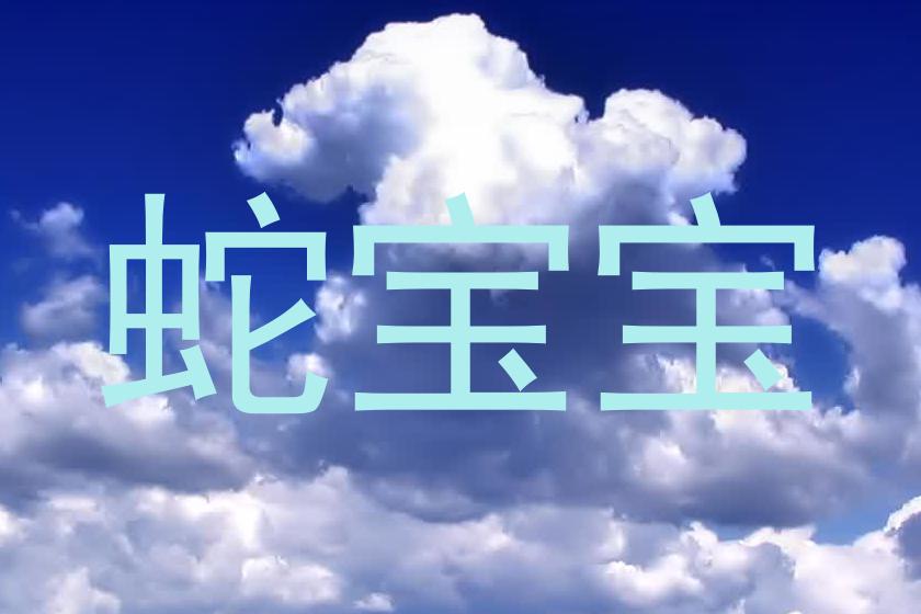 蛇宝宝