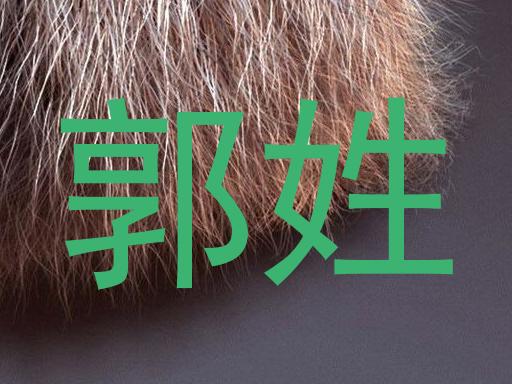 郭姓