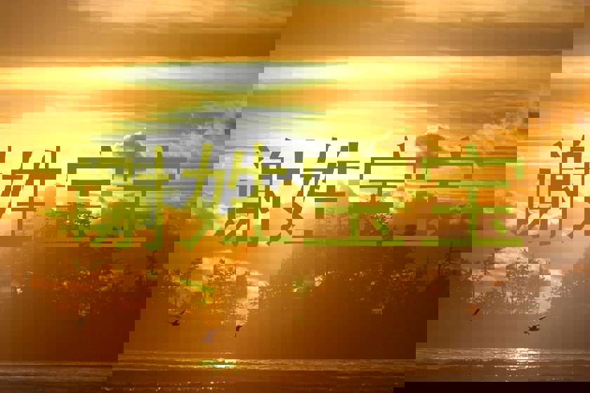 谢姓宝宝