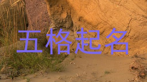五格起名