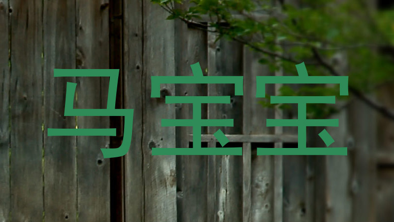 马宝宝