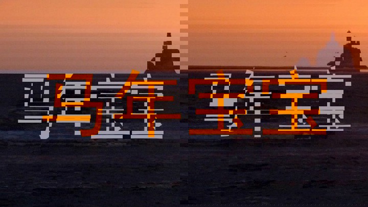 马年宝宝