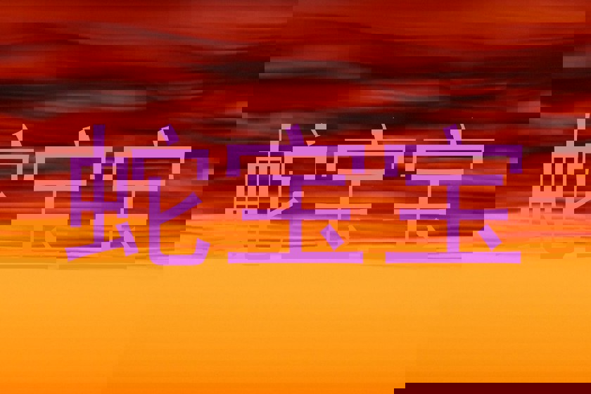 蛇宝宝