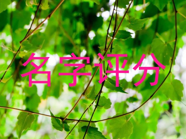 名字评分